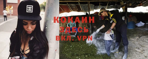 мяу мяу мука Абинск